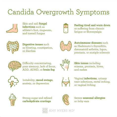 Candida Roots In Stool