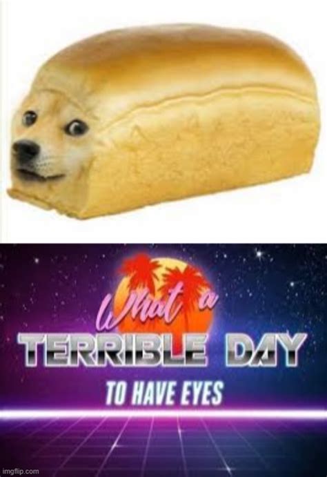 Image tagged in doge bread,what a terrible day to have eyes - Imgflip