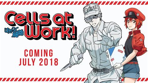 Cells At Work Manga Online Free