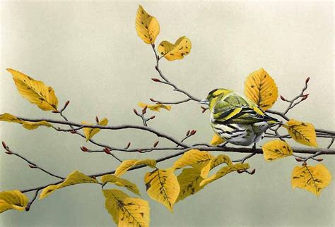 FREE 15+ Beautiful Bird Paintings in PSD | Vector EPS