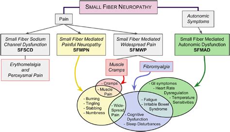 Small Fiber Neuropathy