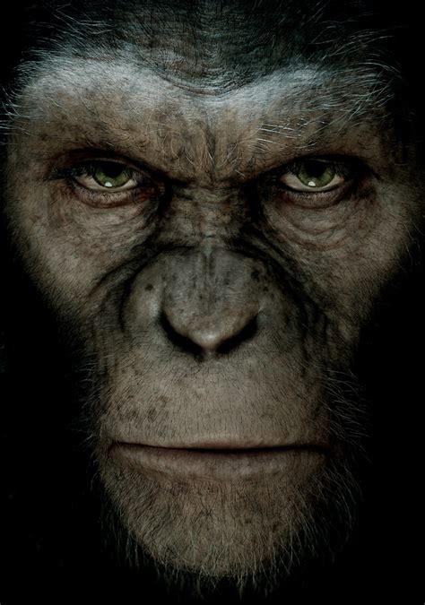 Rise Of The Planet Of The Apes Art