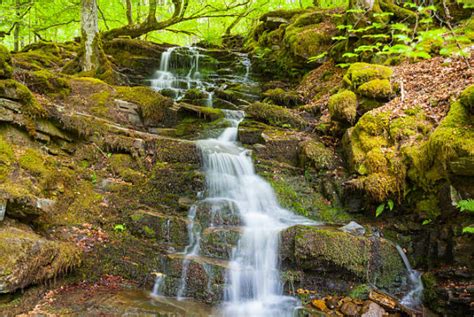 The Birks of Aberfeldy walk - Your Community PK