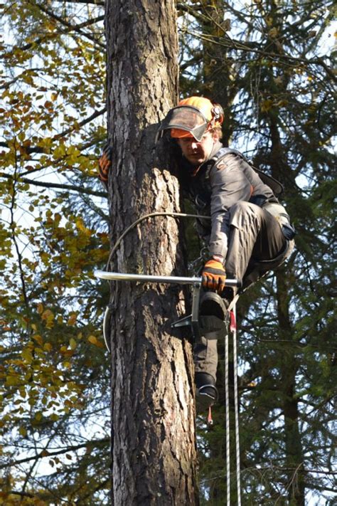 Tree Climbing Gear - PLEMONT