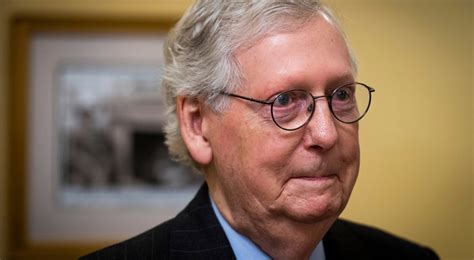 Mitch McConnell's Sister In Law Died After Her Tesla Model X Sank In A Pond — A Fatal Mistake ...