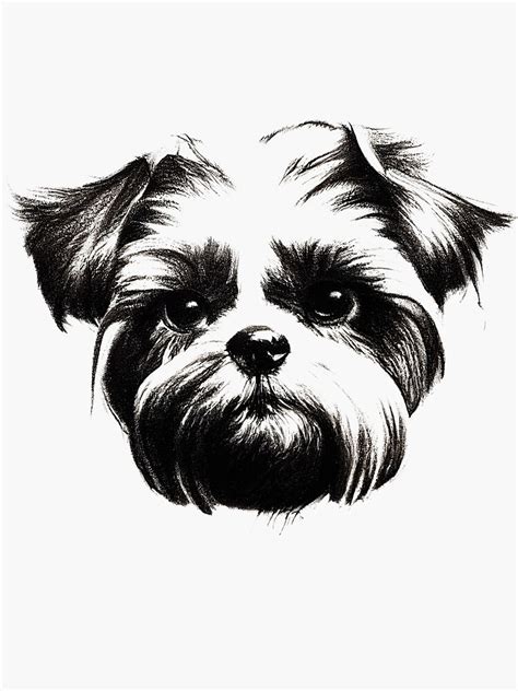 "Shih Tzu Sketch" Sticker for Sale by AiMaestro | Redbubble