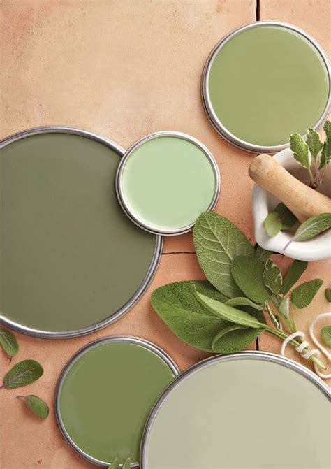 Sage Green Swatch | Sage green paint, Sage green wallpaper, Green paint ...