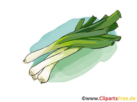 Gambar daun bawang, ilustrasi, clipart