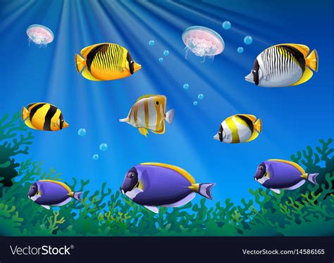 Scene with colorful fish swimming underwater Vector Image