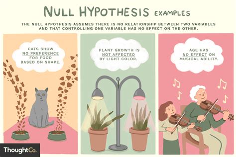 Giả thuyết không (Null Hypothesis) là gì? Ví dụ về giả thuyết không