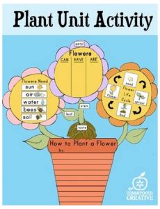 Plant Life Cycle Unit Ideas and Activities