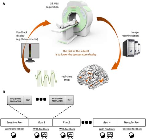 Frontiers | Translating Neurocognitive Models of Auditory-Verbal Hallucinations into Therapy ...