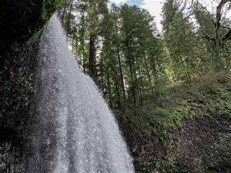 Trail of Ten Falls: Silver Falls State Park - Maddie Deer