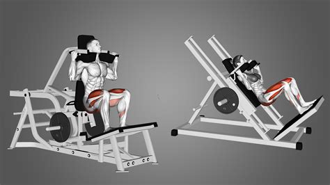 V Squat Vs Hack Squat: The Differences Explained Inspire US, 47% OFF