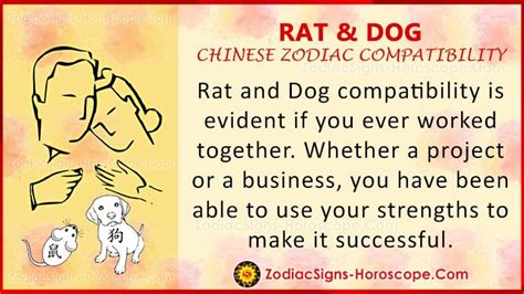 Rat and Dog Love Compatibility, Relationship and Traits in Chinese Zodiac