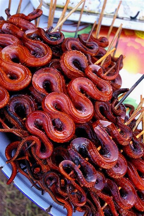 Really Strange Food- Shishkobob Snakes (With images) | World street food, Weird food, Chinese ...