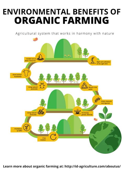 Organic farming produces food while establishing an ecological balance to prevent soil pollution ...