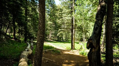 Hiking - Arizona Snowbowl