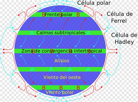 Vent, Alizés, Hadley Cell, Subtropical Ridge, Ferrel Cell, Polar Cell, Atmospheric Circulation ...