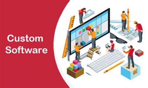 Common Types of Custom-Built Software with examples - Havro