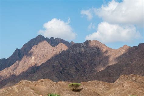 Oman`s mountains stock photo. Image of plant, mountains - 187026504