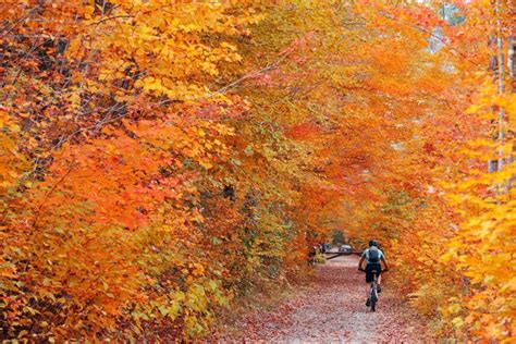 10 Best Places to See Fall Foliage in Vermont – Bearfoot Theory