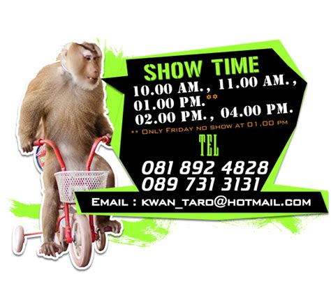 monkey-show