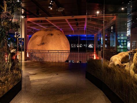 Houston Museum of Natural Science – Mars