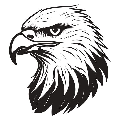 Beautiful Eagle Face Silhouette - Generative Ai 25070024 PNG