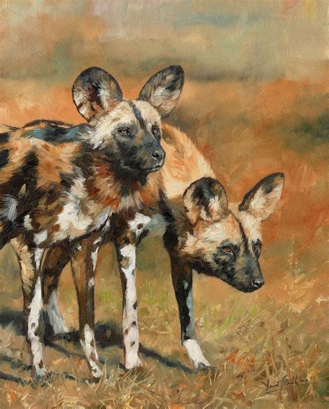 African Wild Dogs Painting by David Stribbling