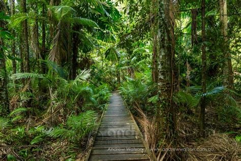 Andrew Watson Photography | National Broadband Network