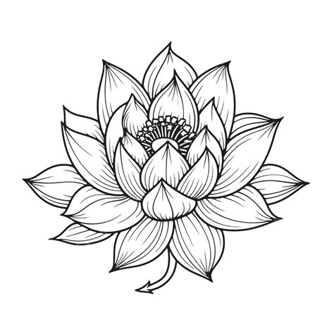 Lotus Flower Drawn By Hand Outline Sketch Drawing Vector, Flower Drawing, Wing Drawing, Lotus ...