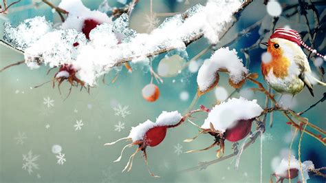 Winter Birds Wallpaper - WallpaperSafari