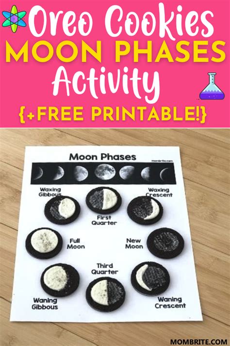 Oreo cookie moon phases activity free worksheet – Artofit