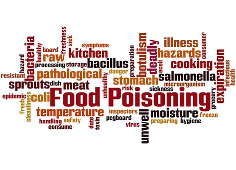 Food Poisoning is Especially Harmful for Elderly Adults - A Better Living Home Care Sacramento