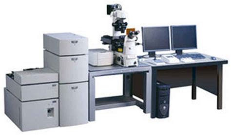 Nikon Instruments Launches Fully-Automated A1 Confocal Laser Microscope Series | News | Nikon ...