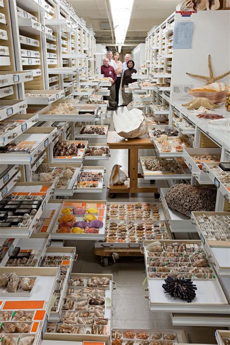 inside the archives: storage at the smithsonian natural history museum