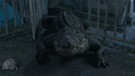 ดูหนัง ออนไลน์ Croc (2022) เต็มเรื่อง KUBHD.COM หนังฟรีHD