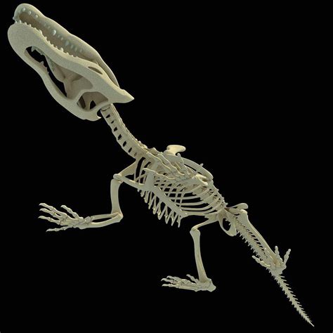 Crocodile Skeleton - 3D Model by 3D Horse