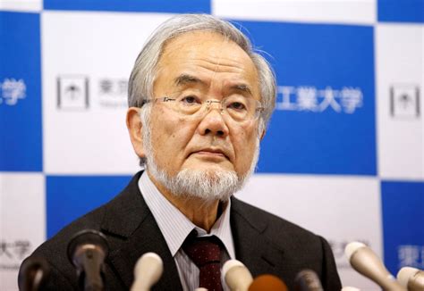 Japanese biologist Yoshinori Ohsumi awarded Nobel Prize in Physiology ...