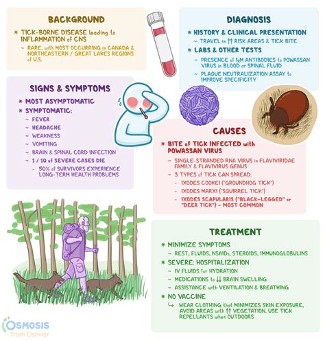 Powassan Virus: What Is It, Causes, Treatment | Osmosis