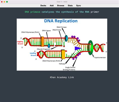 RNA primase vs DNA primase : r/Mcat