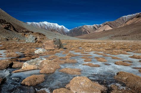 Images - Snow Filled Landscapes during Winter in Ladakh - Darter ...