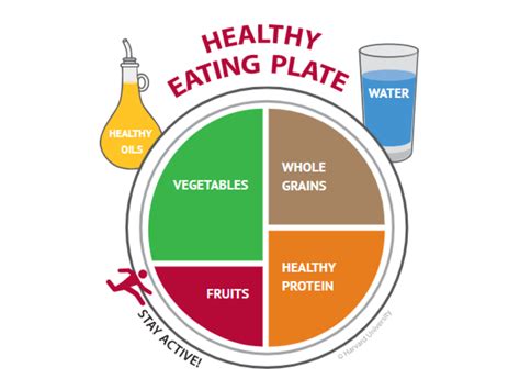 Healthy Eating Plate Vector Labeled Educational Food Stock