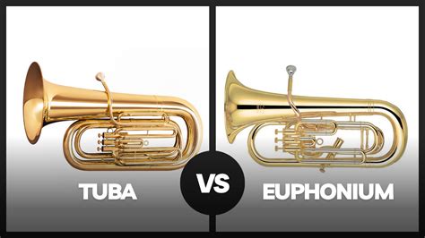 Battle of the Brass: Tuba vs Euphonium - Which Reigns Supreme? - MusicalHow.Com