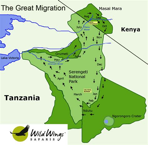 The Great Wildebeest Migration: A complete guide