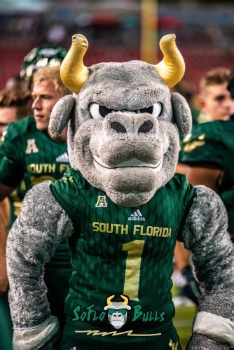 149 – Elon vs. USF 2018 – USF Mascot Rocky the Bull by Dennis Akers | SoFloBulls.com (3631×5439)