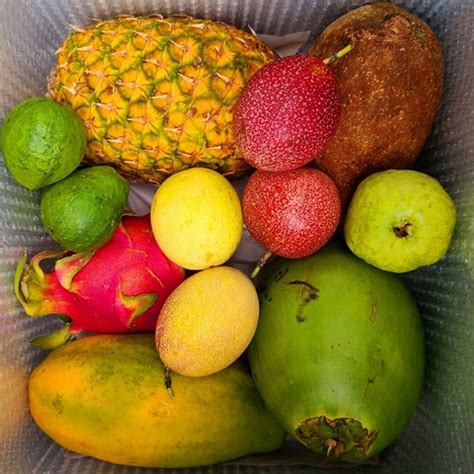 Tropical Fruit Boxes at Tropical Fruit Box [Order Here] - Tropical Fruit Box