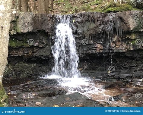 Landscapes and Nature Images in PA Stock Image - Image of groundhog, scenary: 245955997