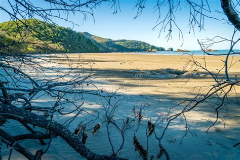 Paradisiac Beach in Cape Hillsborough National Park, Queensland, Australia Stock Photo - Image ...